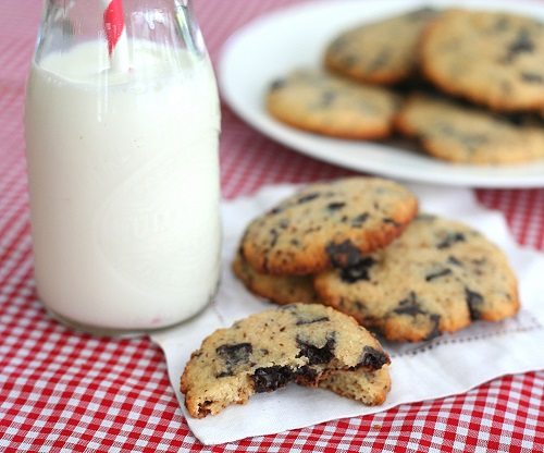 Low Carb, Gluten-Free Chocolate Chip Cookies