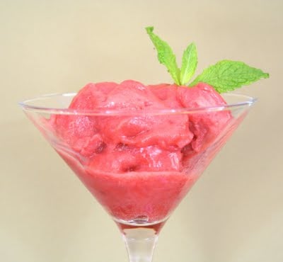 Low Carb Rhubarb Sorbet