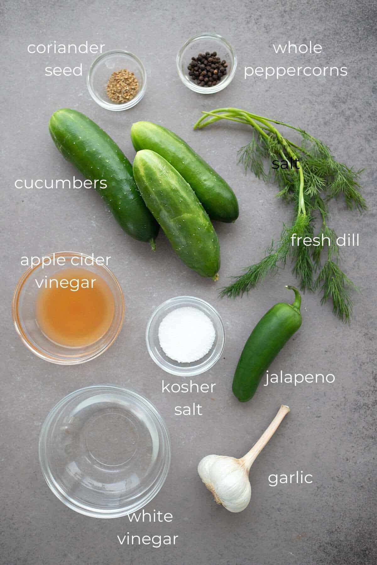 Labeled top down image of ingredients for refrigerator pickles.