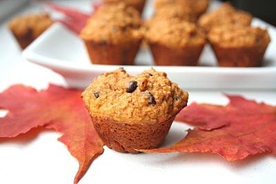 Mini pumpkin bran muffins with chocolate chips