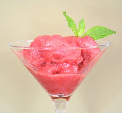 rhubarb sorbet (low carb and gluten free)