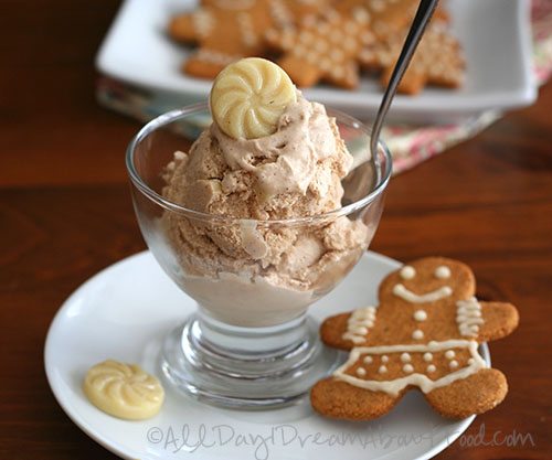 Low Carb Gluten-Free Gingerbread Ice Cream