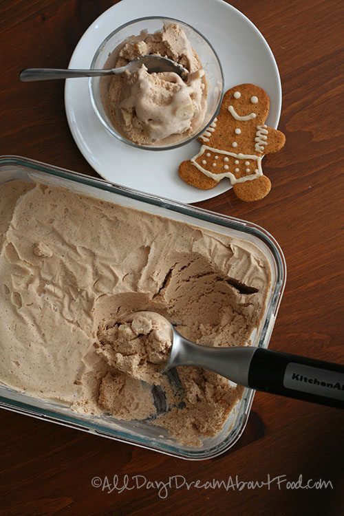 Low Carb Gingerbread Ice Cream Recipe