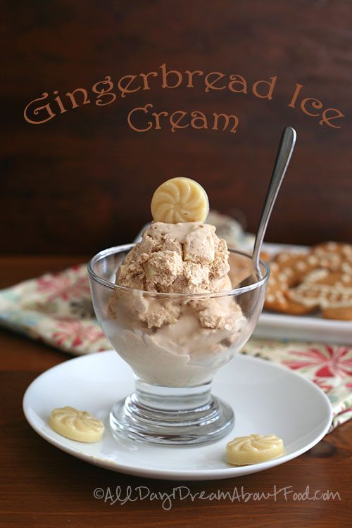 Low Carb Gingerbread Ice Cream