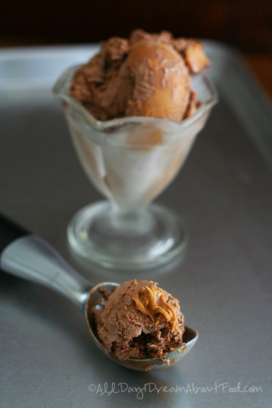 Low Carb Chocolate Peanut Butter Ice Cream Recipe