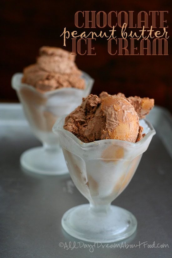 Low Carb Chocolate Peanut Butter Ice Cream