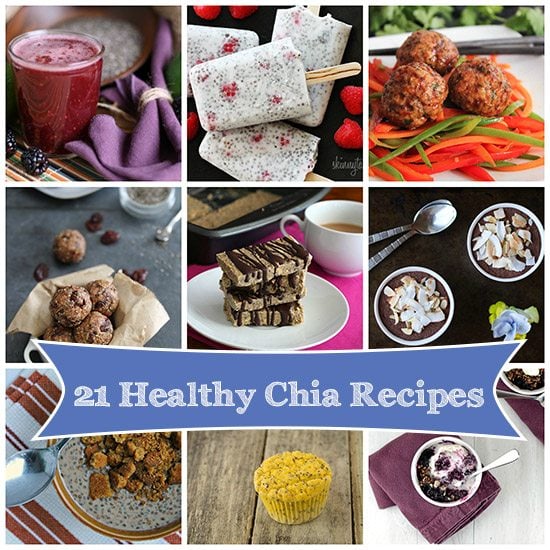 21 Healthy Low Carb Paleo Chia Seed Recipes