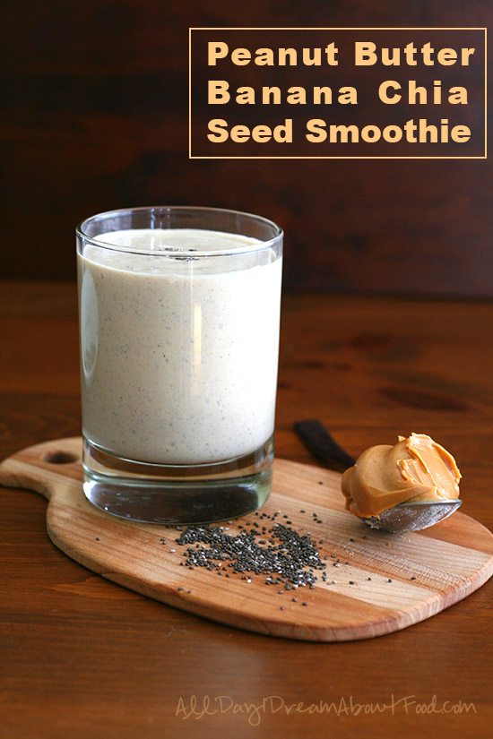 Low Carb Peanut Butter Chia Seed Smoothie Recipe
