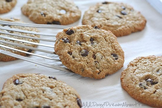 Best Low Carb Chocolate Chip Cookies Nut-Free