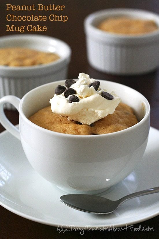 titled image (and shown): Peanut Butter Chocolate Chip Mug Cake