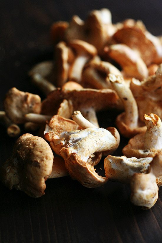 Wild Hedgehog Mushrooms destined for soup