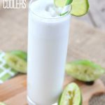 Low Carb Coconut Lime Beverage