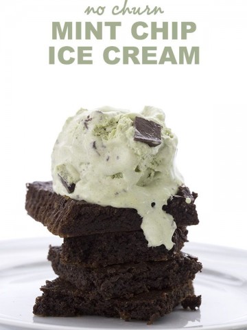 Low Carb Mint Chocolate Chip Ice Cream Recipe. No churn!