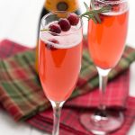 Sugar-Free Cranberry Cocktail Recipe
