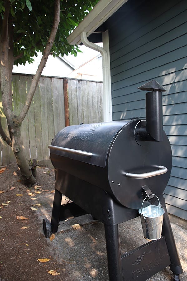 Traeger Grill behind the house