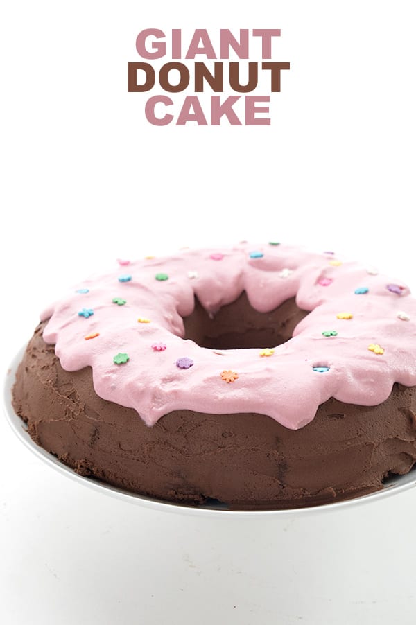 Keto chocolate bundt cake made to look like a chocolate donut with pink frosting