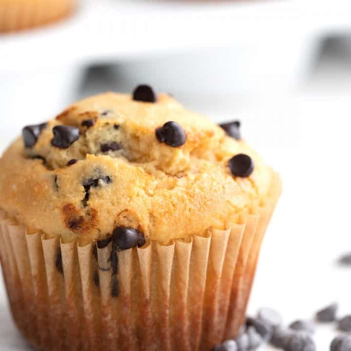 Keto Chocolate Chip Muffins All Day I Dream About Food   Best Ever Keto Muffins 720x720 