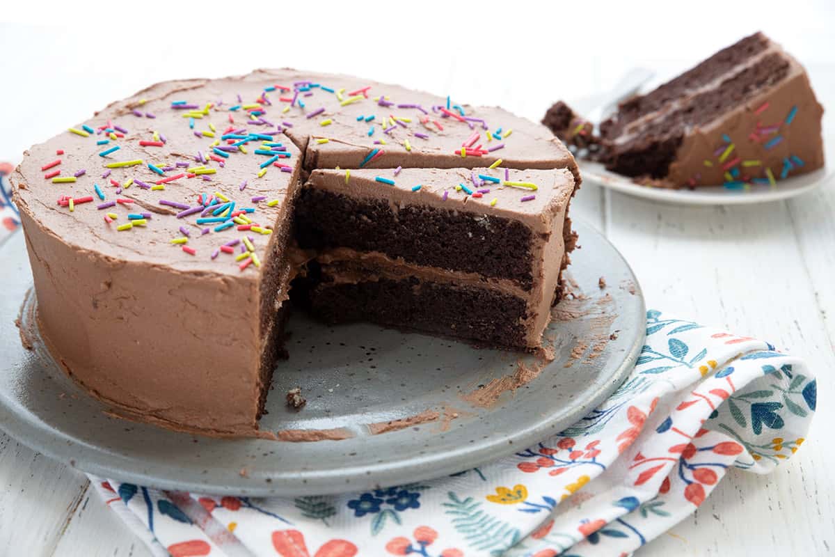 Keto Chocolate Mayonnaise Cake - All Day I Dream About Food