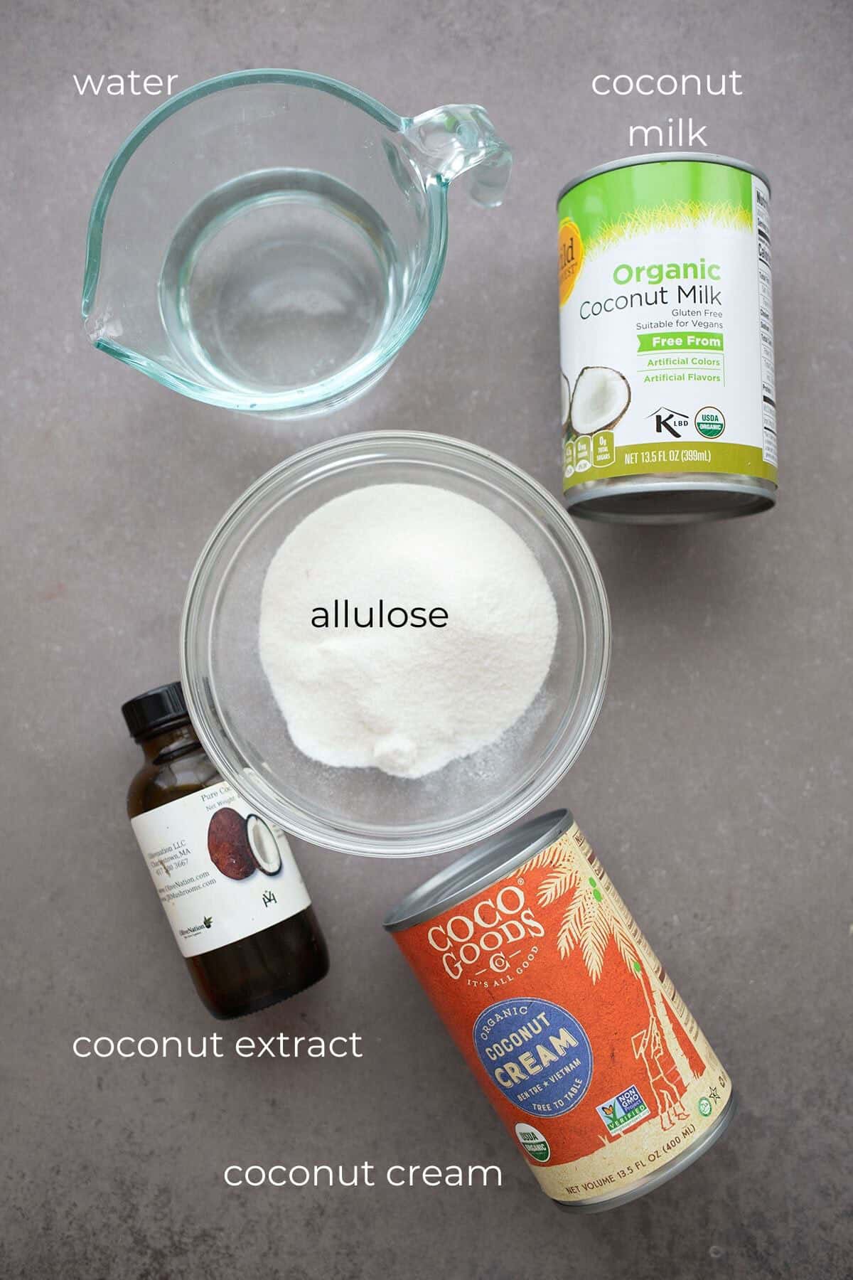 Top down image of the ingredients for keto coconut sorbet.