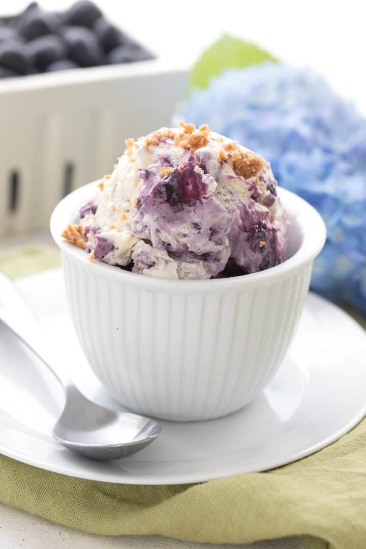 Keto Blueberry Pie Ice Cream - All Day I Dream About Food