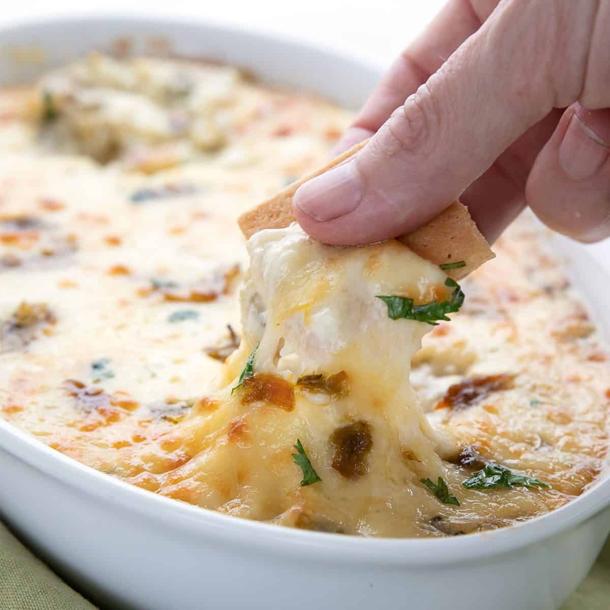 Cheesy Green Chili Dip - All Day I Dream About Food