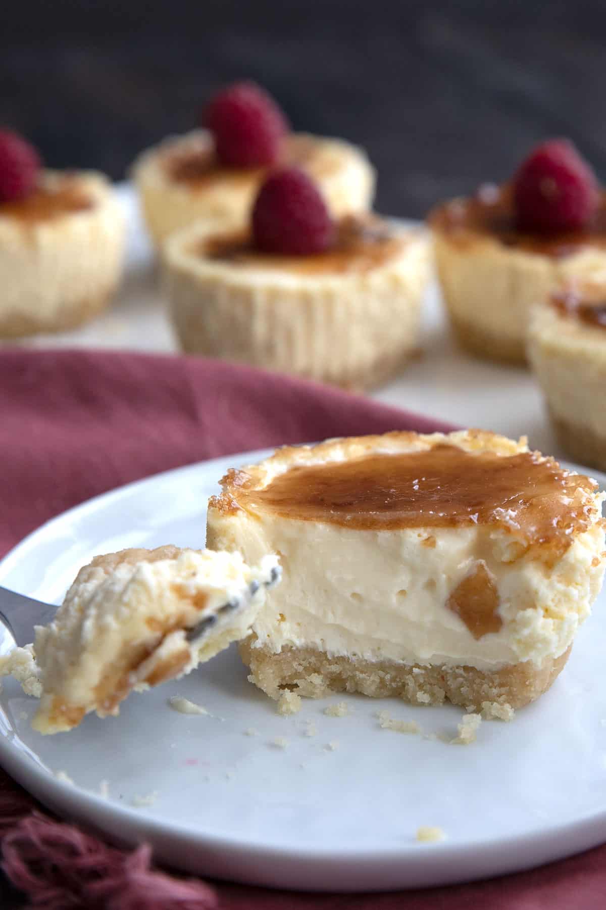 A mini keto cheesecake with creme brûlée topping with a forkful taken out.