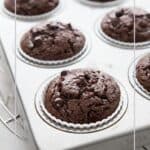 Chocolate Protein Muffins freshly baked in a metal muffin pan.