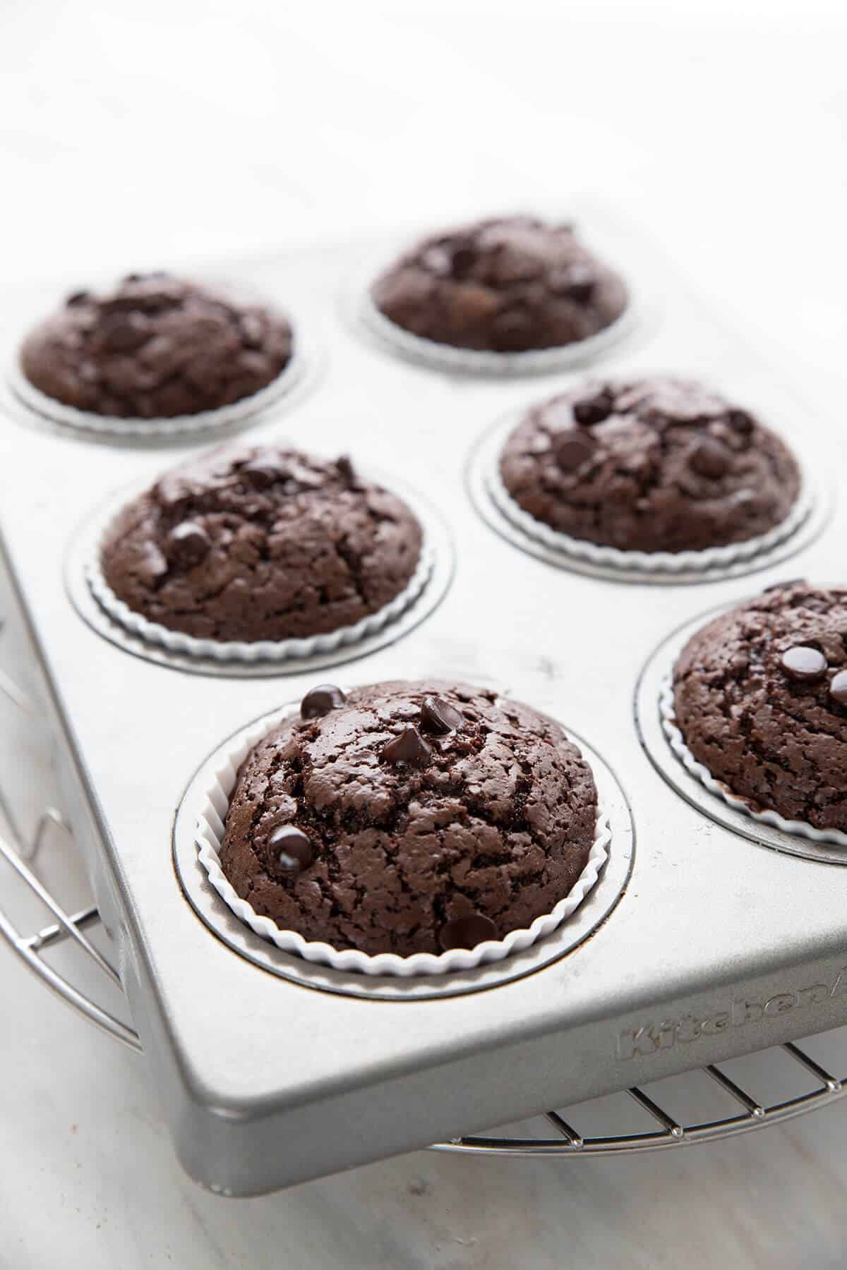 Freshly baked chocolate protein muffins in a muffin pan