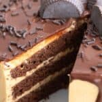 Titled image, close up of a keto chocolate peanut butter layer cake with a slice cut out of it.