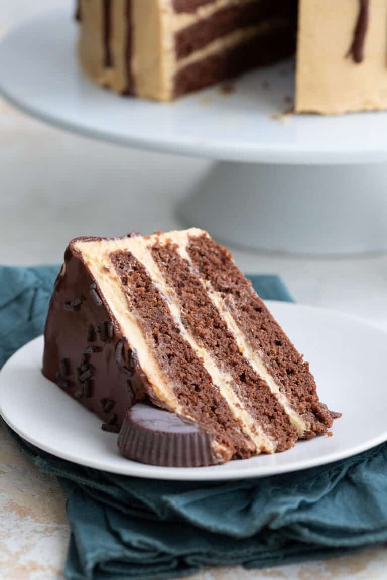 Keto Chocolate Peanut Butter Cake - All Day I Dream About Food