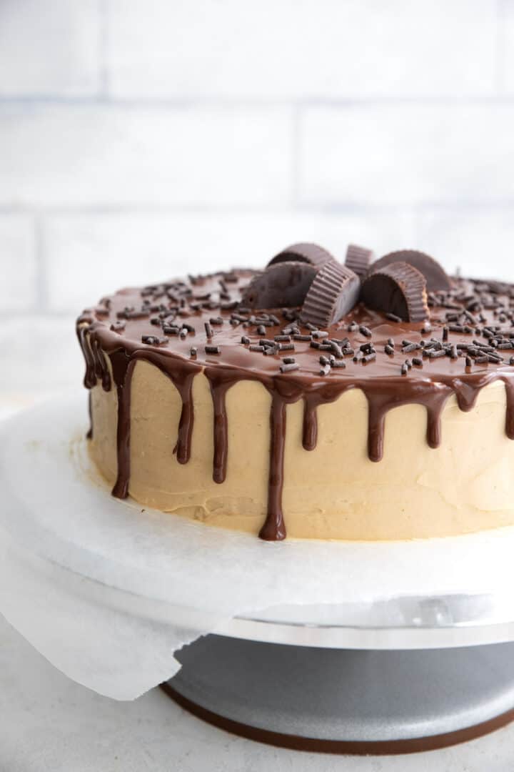 Keto Chocolate Peanut Butter Cake - All Day I Dream About Food