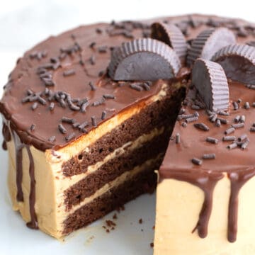 Chocolate peanut butter layer cake on a white cake stand with a slice cut out of it.