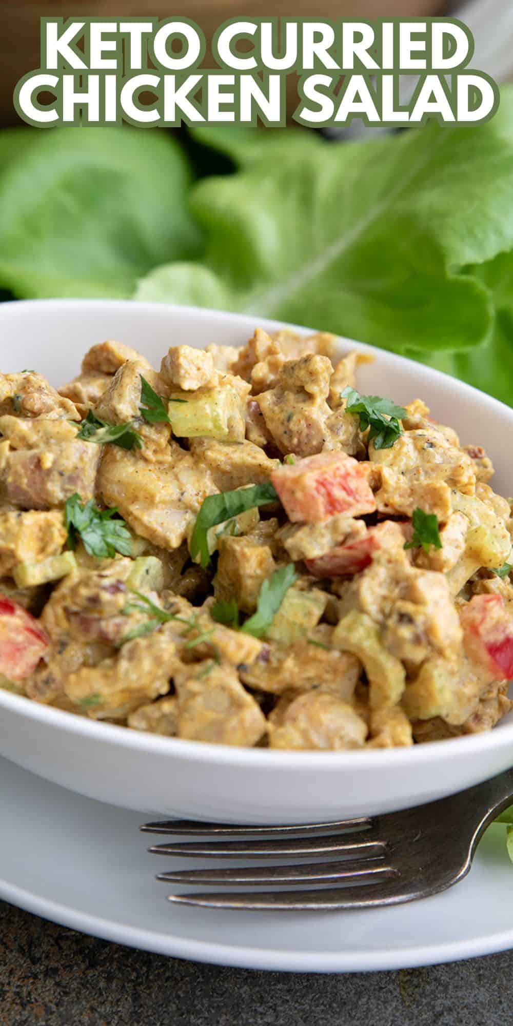 Curried Chicken Salad - All Day I Dream About Food