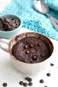 Protein Mug Cake - All Day I Dream About Food