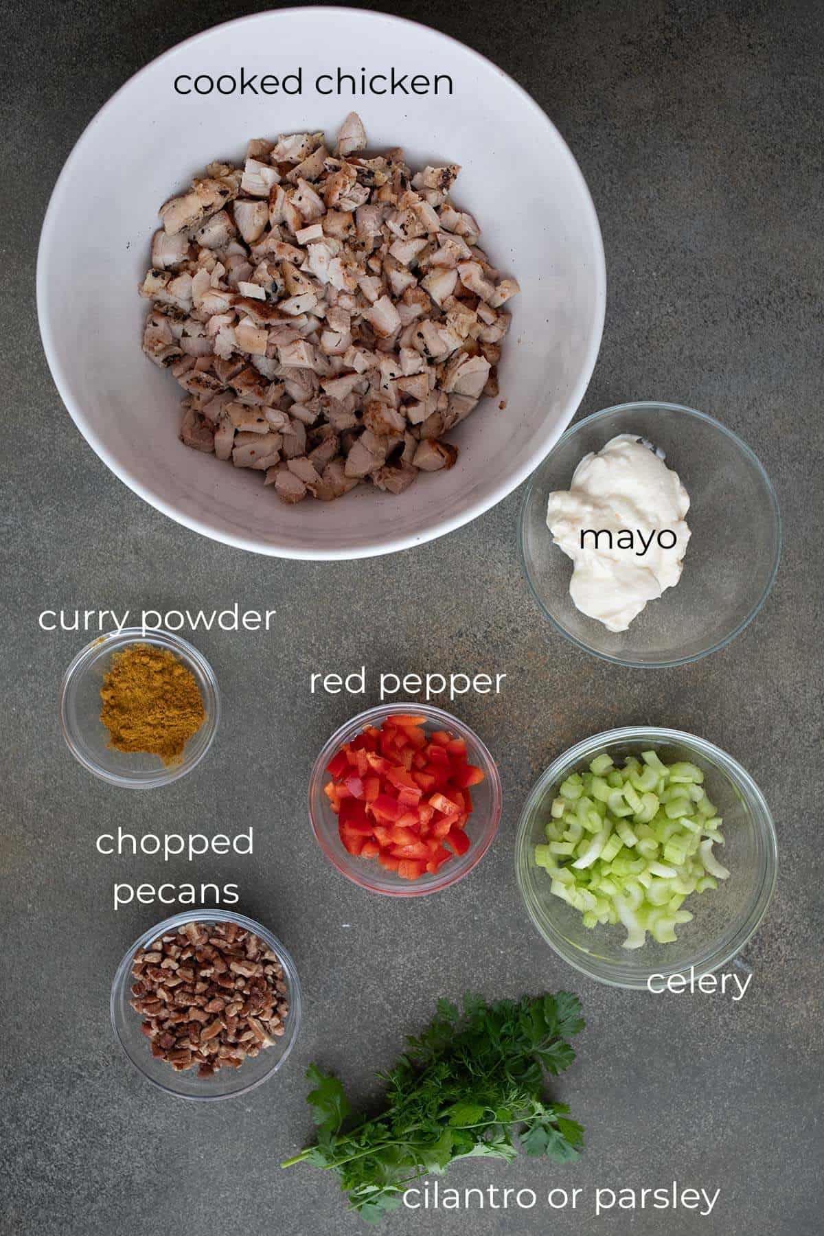 Top down image of ingredients for Keto Curried Chicken Salad.