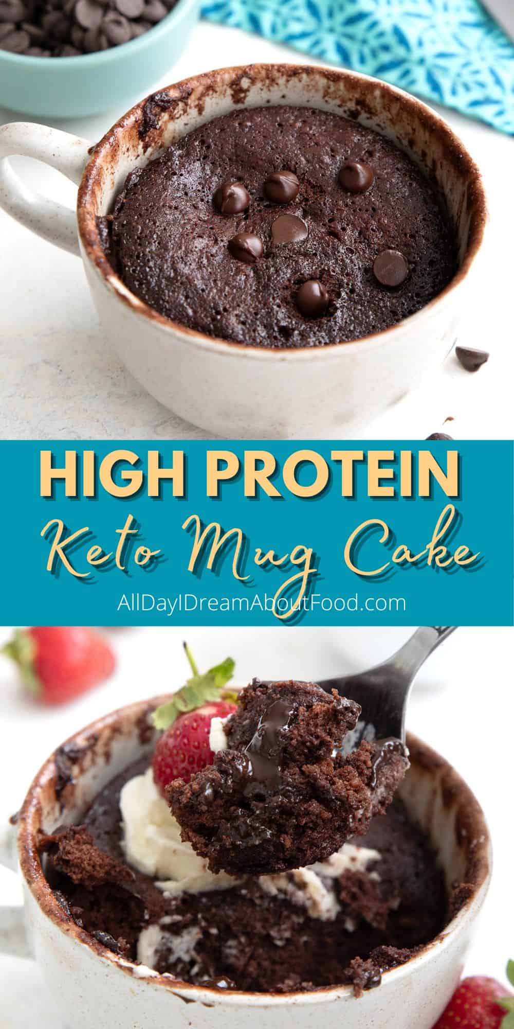 Protein Mug Cake - All Day I Dream About Food