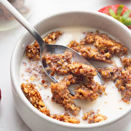 https://alldayidreamaboutfood.com/wp-content/uploads/2023/08/Keto-Granola-Cereal-500x500.jpg