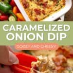 Pinterest collage for Caramelized Onion Dip.