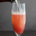 Titled Pinterest image for Rhubarb Fizz Cocktail.