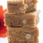 Titled image of a stack of keto peanut butter blondies on a white table.