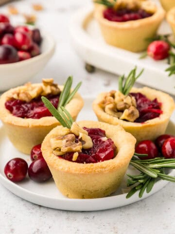 Three Keto Cranberry Brie Bites on a small white plate on a concrete tabletop.