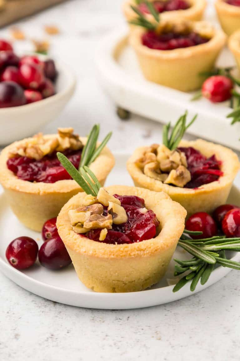 Three Keto Cranberry Brie Bites on a small white plate on a concrete tabletop.